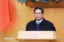 政府总理范明政发表讲话。图自越通社