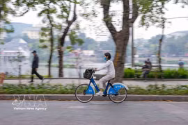 绿色交通——可持续城市发展的必然方向