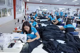 工人队伍建设成为提升竞争力并迈向可持续发展目标的重要“钥匙”。图自越通社