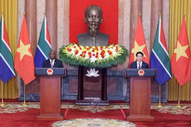 越南国家主席梁强和南非总统马塔梅拉·西里尔·拉马福萨主持记者会。图自越通社