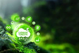 越南许多地方都拥有巨大的碳信用额利用潜力。图自互联网
