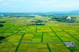 政府通过关于解决《土地法》实施过程中存在的困难和障碍若干机制和政策草案的内容。图自互联网