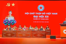 大会主席团。图自Vietnam+