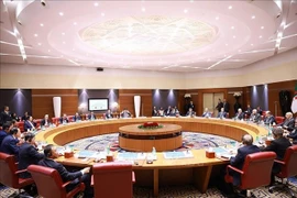 会谈场景。图自越通社