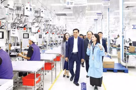 乂安省人民委员会代表团视察乂安VSIP工业区生产活动。图自nhandan.vn