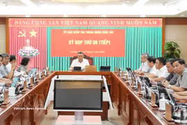 越共中央政治局委员、中央书记处书记、中央检查委员会主任陈士清主持会议。图自越通社