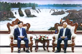 老挝人民革命党中央书记处书记、中宣部部长坎潘·培亚翁会见越共中央宣教与民运部副部长赵才荣。图自越通社