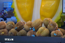 广西口岸首次从越南进口冷冻榴莲产品。图自越通社