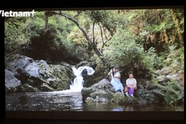 “明日将至”展览——庆祝越南与新西兰建交50周年的当代艺术印记