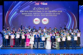 Vietnam Report发布2025年越南500强企业和“塑造未来”的百强企业榜单。图自越通社