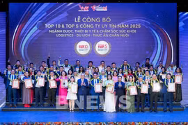 Vietnam Report发布2025年越南500强企业和“塑造未来”的百强企业榜单。图自越通社