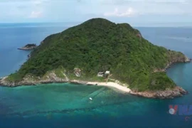 昆岛探索碳信用机制 推动绿色循环经济