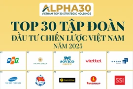 越南ALPHA30战略投资集团排行榜出炉。图自thuehaiquan.tapchikinhtetaichinh.vn