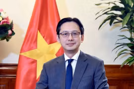 越南外交部副部长、东盟高官会（SOM ASEAN）越南代表团团长杜雄越。图自越通社