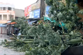 越南北部和中部地区将有大雨 海上可能出现龙卷风
