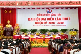 越南共产党同塔省第一次代表大会（2025-2030年任期）隆重开幕。图自越通社