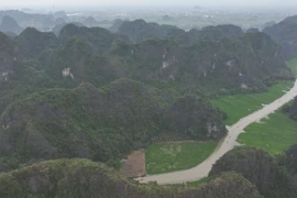 富有吸引力的三谷稻田：田园与旅游交织的金色画卷