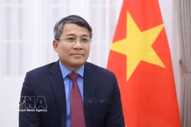 越南—中国：提升两国全面战略合作伙伴关系水平