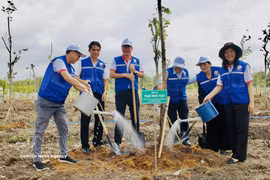 胡志明市领导、与会代表及当地民众共同在朗勒文化公园区域内栽下了503棵各类树木。图自越通社