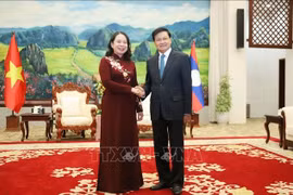 越南国家副主席武氏映春礼节性拜会老挝人民革命党中央总书记、国家主席通伦·西苏里。图自越通社