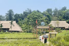 越南各民族文化旅游村的芒族村落深受当地居民和游客的喜爱。图自越通社
