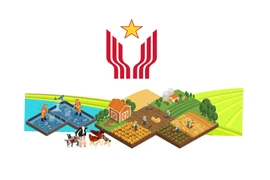 2021-2025年阶段“全国携手共同建设新农村”竞赛运动计划的突出结果