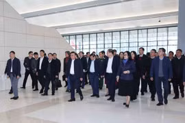 中央书记处常务书记陈锦秀检查越共十四大筹备工作