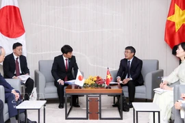 越南外交部常务副部长阮明羽会见日本外务大臣政务官、众议院议员岛田智明。图自越通社