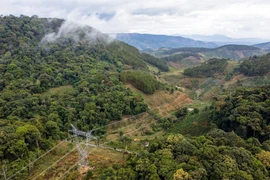 确保中部和西原地区电网安全运行