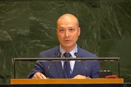 越南常驻联合国代表团副团长阮黄原公使。图自越通社