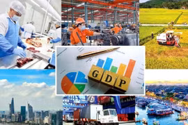 2025年强劲反弹和新一轮增长周期的基础。图自越通社