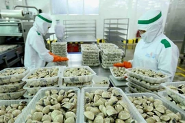 中国跃升为越南贝类产品最大进口市场