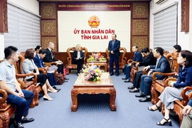 嘉莱省会同美国驻胡志明市总领事馆及天主教救济服务会（CRS）驻越南代表处共同举行仪式，向越南中部部分受灾省份象征性地移交灾后恢复重建援助款项。图自CTT