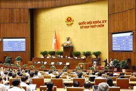 第十五届国会第九次会议讨论修改补充《宪法》的决议草案。图自越通社