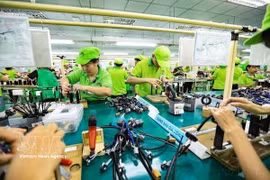 FDI 加速增长——就业市场再度“升温”