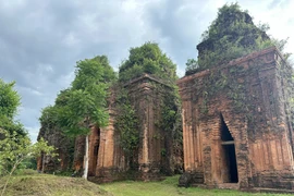 岘港：唤醒千年占婆古塔的旅游潜力