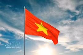 第十六届国会任期：越南政府组织结构
