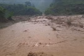 7月31日夜间至8月1日凌晨持续性的强降雨导致奠边省多地发生山洪和山体滑坡。图自越通社