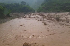 7月31日夜间至8月1日凌晨持续性的强降雨导致奠边省多地发生山洪和山体滑坡。图自越通社