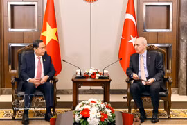 越南国会主席陈青敏会见土耳其大国民议会议长努曼·库尔图尔穆什。图自越通社