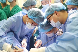 医生们演示妇科癌症治疗中经阴道自然腔道经腔内镜手术。K医院供图