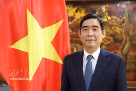 越南驻泰国大使范越雄。图自越通社
