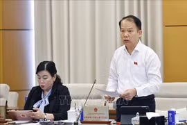 国会法律与司法委员会主席黄青松发表讲话。图自越通社