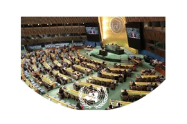 越南成功连任2026-2028任期联合国人权理事会成员