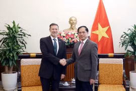 越南政府副总理兼外交部长裴青山在外交部驻地会见澳大利亚驻越南大使安德鲁·戈莱兹诺夫斯基。图自越通社