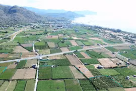 宁顺二号核电站位于宁海县永海乡泰安村。图自越通社