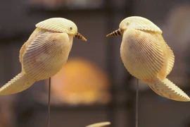 为贝壳注入灵魂 守护海滨城市