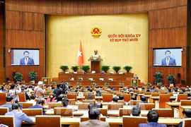 第十五届国会第十次会议全景。图自越通社