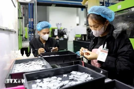 Cotec塑料有限责任公司。图自越通社
