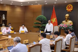 关于全国范围内推广E10生物汽油情况的会议现场。图自越通社